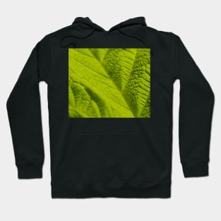 Green Leaf macro Hoodie